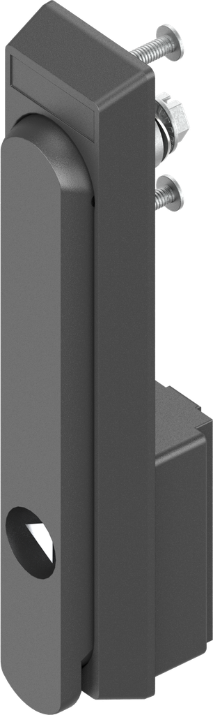 Swinghandle with insert triangular 9, Polyamide GF black