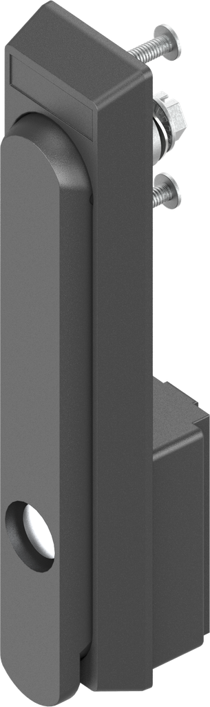 Swinghandle with insert crown type, Polyamide GF black