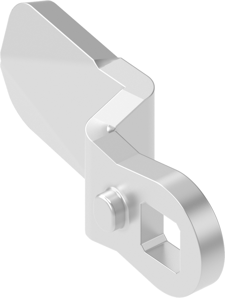 Cam, Stainless steel AISI 316