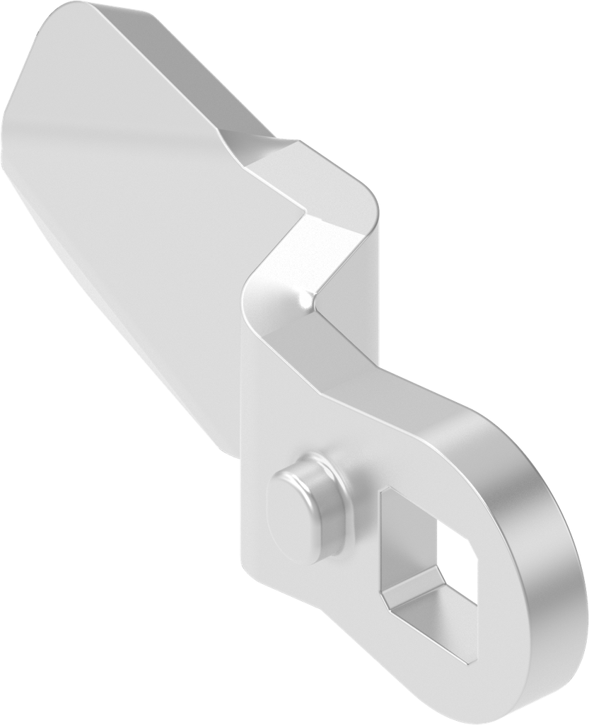 Cam, Stainless steel AISI 304