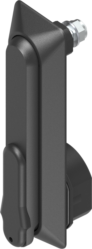 Schwenkgriff