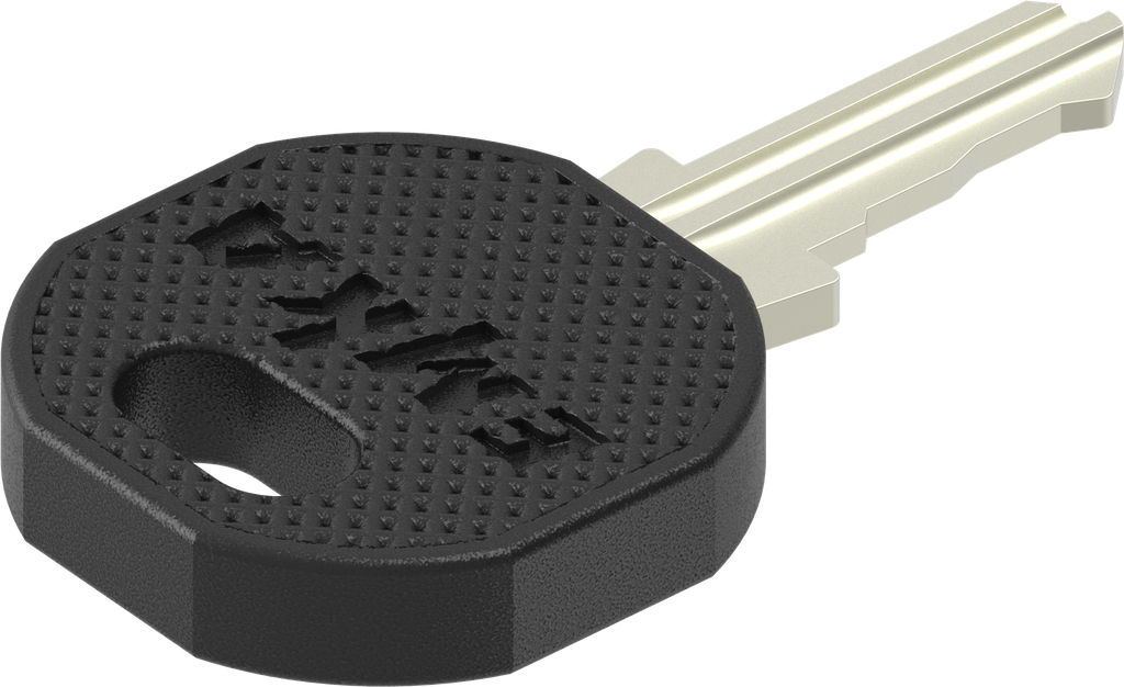 Schlüssel für 2233 X          