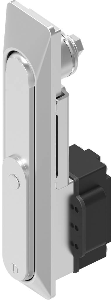 Schwenkgriff 1154 mit RC2 für Profil-Halbzylinder 40 mm (A = 30 mm), Edelstahl AISI 316