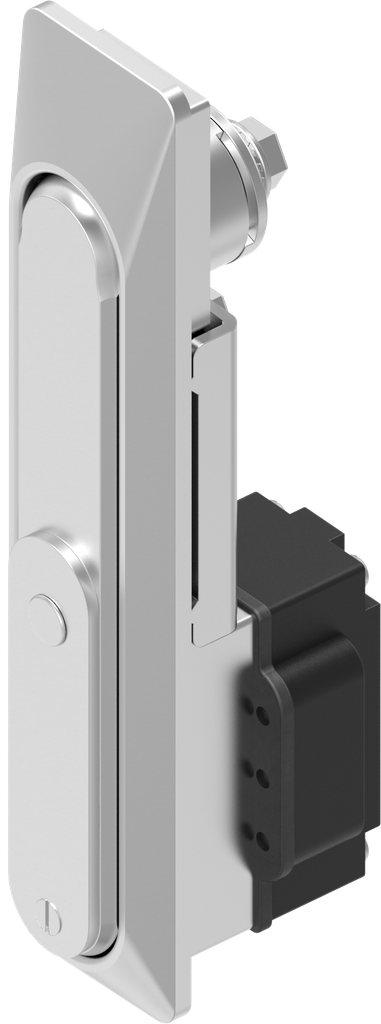 Schwenkgriff 1154 mit RC2 für Profil-Halbzylinder 40 mm (A = 30 mm), Edelstahl AISI 316