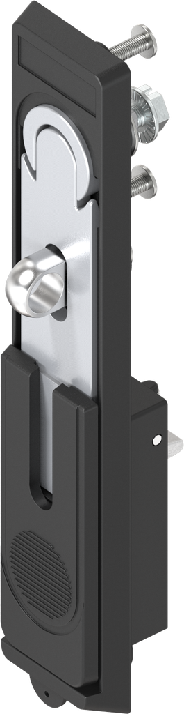 Schwenkhebel Ford-Ausführung