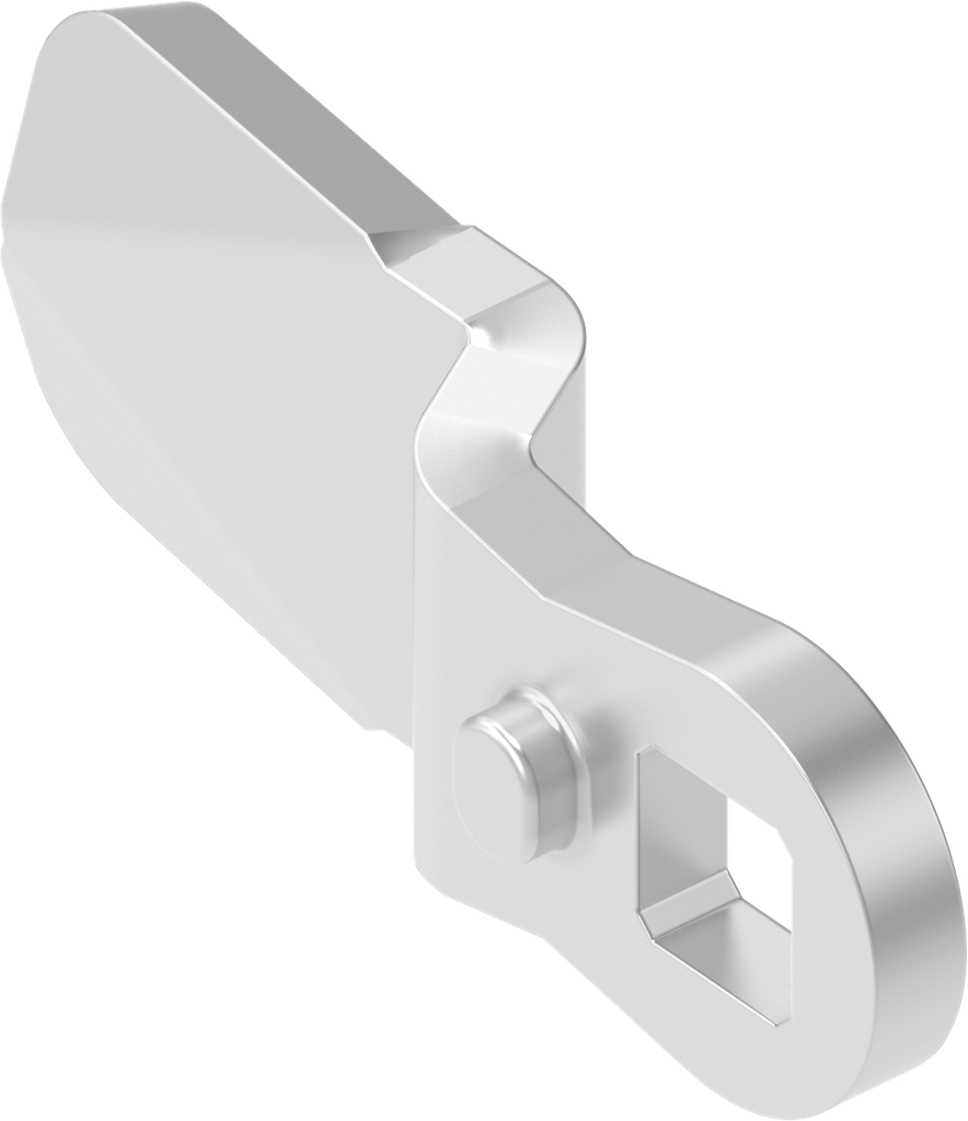 Cam, Stainless steel AISI 316